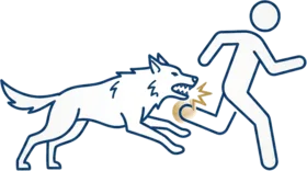 Snarling dog chasing person illustration